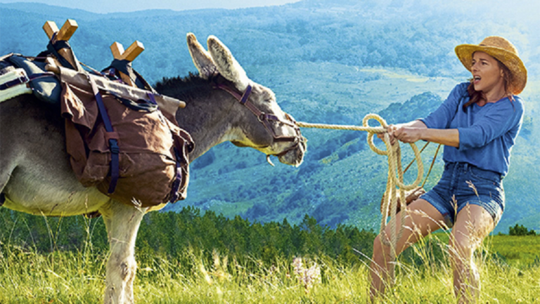 My Donkey, My Lover and I