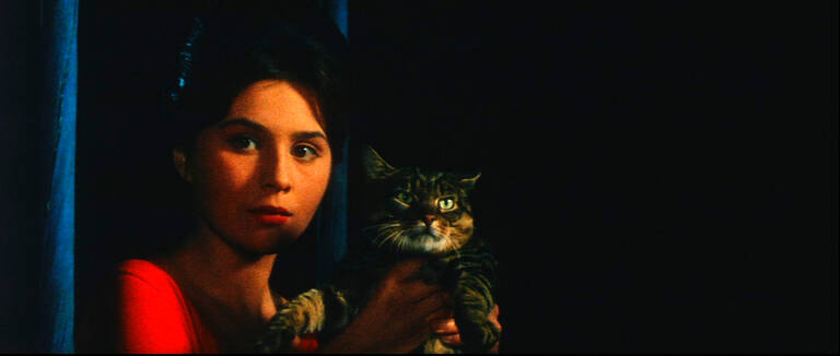 Small-town antagonisms between adults, and tensions between grown-ups and children, never looked as appealing as in this sunlit, surreal, gentle satire that ushered in the Czech New Wave.