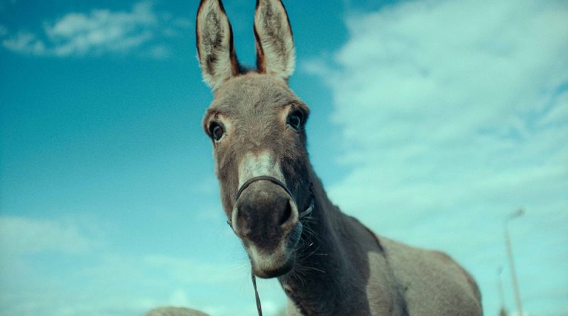 Formally intriguing and emotionally satisfying, the 2022 Cannes-winning film from veteran Polish director Jerzy Skolimowski is all about a donkey.