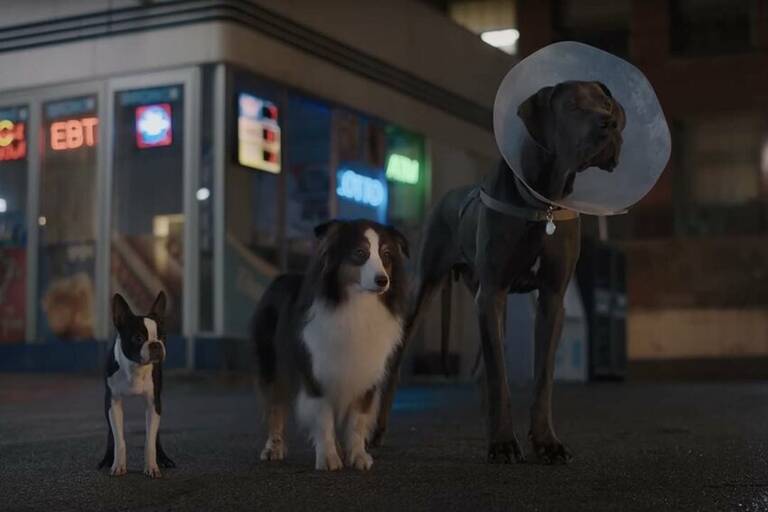 screen_shot_2023-02-10_at_10.31.19_am (1)