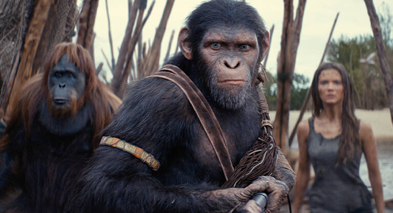This latest in what has become the Planet of the Apes franchise is remarkable for its stunning make up technology – a far cry from the actors in ape masks and hairy suits of yore – but somewhat disappointing in its story. 