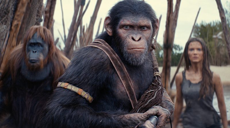 This latest in what has become the Planet of the Apes franchise is remarkable for its stunning make up technology – a far cry from the actors in ape masks and hairy suits of yore – but somewhat disappointing in its story. 