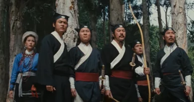 There are only 3 ‘wuxia’ or Chinese heroic swordplay films you really need to see and this is one of them.