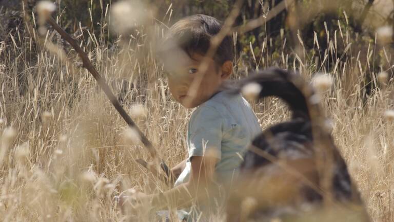 You are almost guaranteed to have a good time at a London Film Festival screening or event. But a film festival is a particular kind of beast.