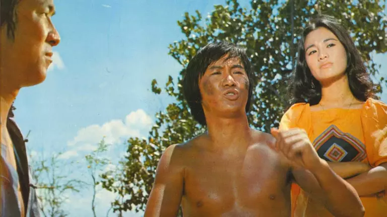 A highly likeable martial arts action film from the director of Bruce Lee classics The Big Boss and Fist of Fury.