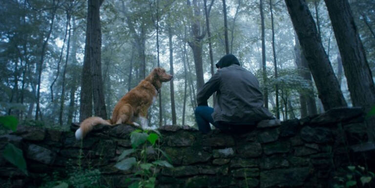 If you’re a dog lover even if you don’t go for horror films, you’ll love the dog in this. Indy is the director’s own dog and he’s obviously trying very hard to please his master.