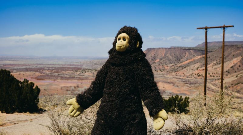 As well as co-writing and starring, Sunlight is Nina Conti's directorial debut.