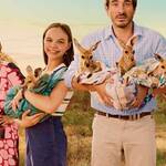 kangaroo-image-1-studiocanal