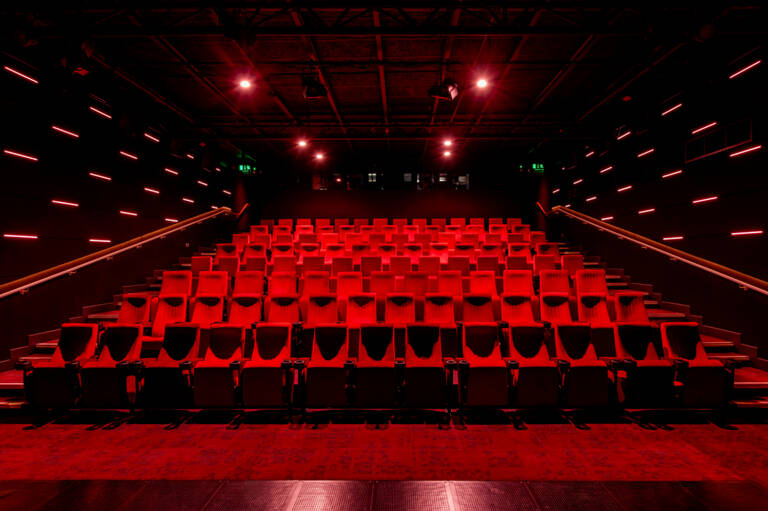 As part of this month’s Big Screen Classics programme, selected by Jenkin, we also welcome Mike Figgis for an In Conversation event on 28 April.
