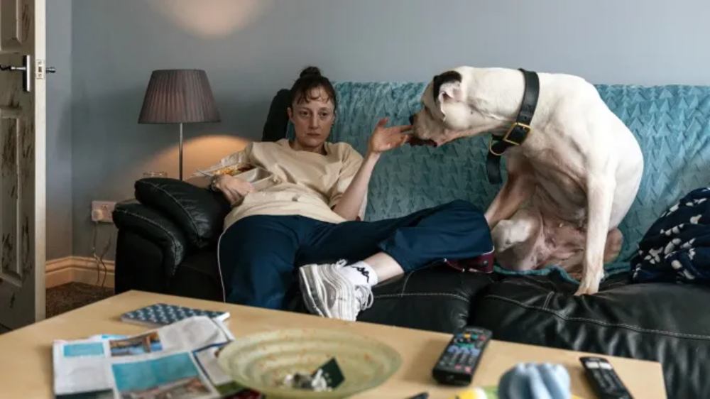 Nestling firmly between the BAFTAs and the Oscars, the event was hosted by the founder of Palm Dog and FIDOS