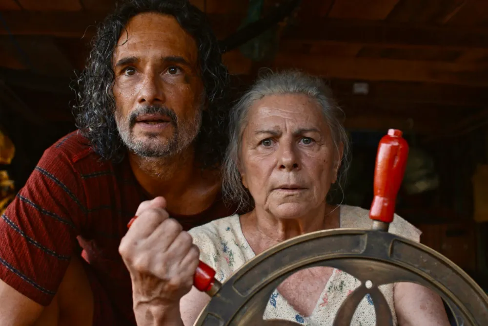 This is a quiet but tough parable of a film which by implication criticizes the way all societies now tend to undervalue their older citizen.