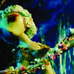 Many of the wonderfully weird folkloric elements in these films receive a nationalist overcoding that will make the films fall flat for some people.