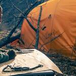Pitt is very good in the role, particularly when his strength begins to fail under the increasingly dangerous challenges of the freezing wilderness.   