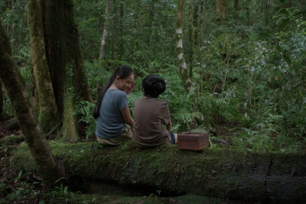 Lê Bảo’s Hearing 